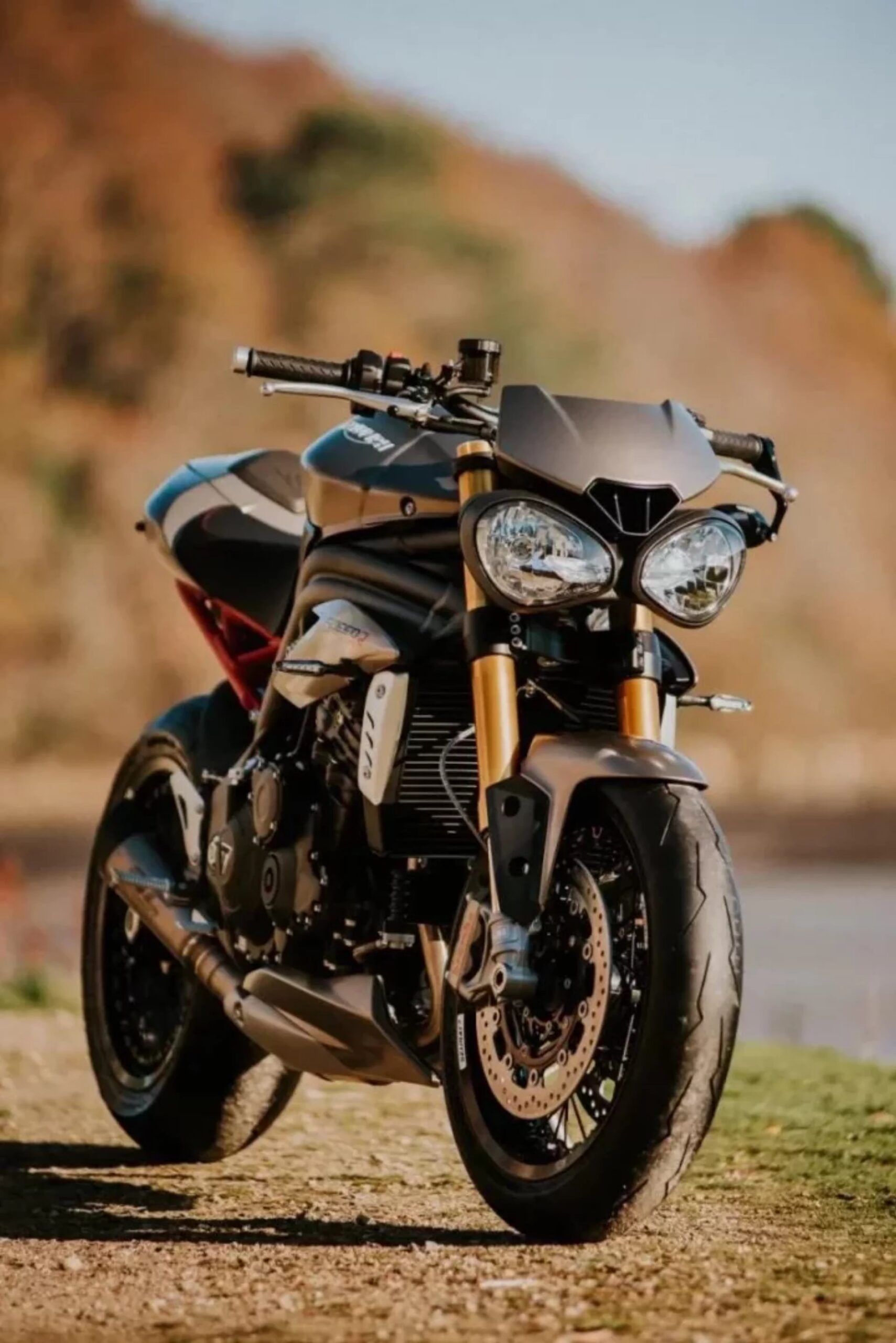 Avant triumph speed 2