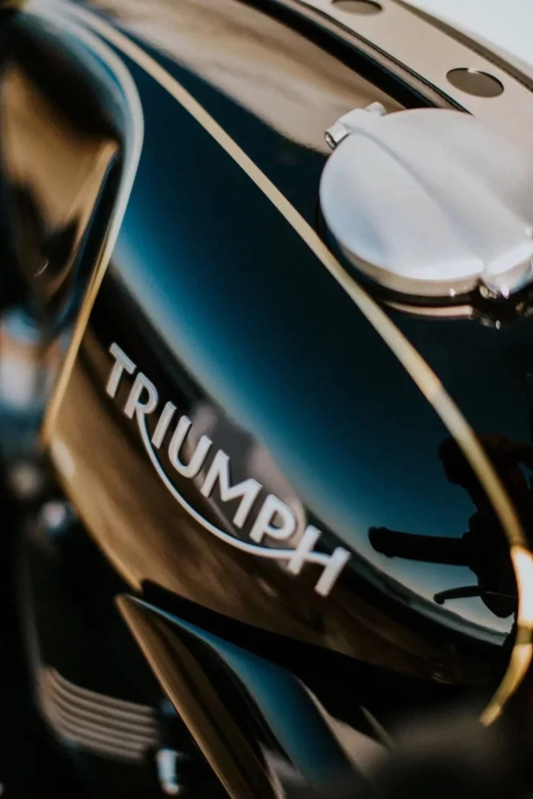 Flanc reservoir triumph noir filets dores peints